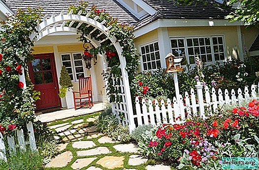 Landscaping of a summer cottage: how to choose what suits you