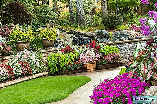 Landscaping: stones, plants and a flight of fantasy