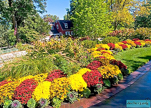 Landscaping flower beds without problems