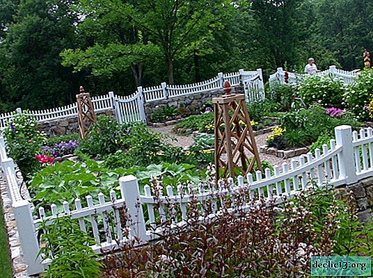 Landscaping garden