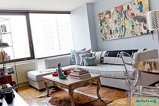Pequeña sala de estar: diseño de sala con excelentes características