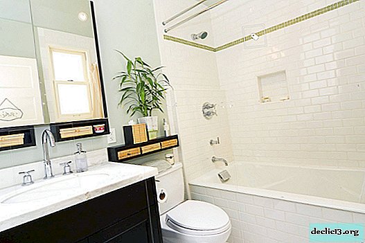 Small bathroom: a harmonious combination of practicality with beauty in photo ideas