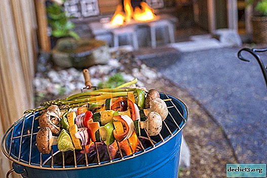 Braziers photo. Which grill is right for you: choose from hundreds of photo options