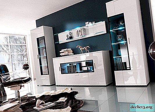 Muebles de sala en un estilo moderno: soluciones de moda para los amantes de los nuevos artículos de interior.