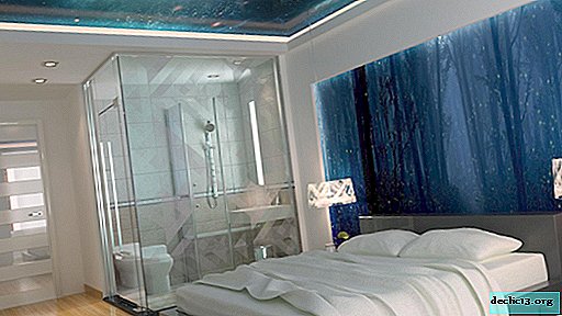 Stretch ceilings for the bedroom: varieties of design, color, texture