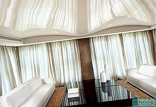 Raztezni stropi: fotografija za dvorano - elegantne priložnosti za okrasitev sodobne dnevne sobe