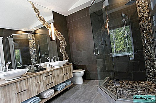 Ungewöhnliche Ideen für die Reparatur des Badezimmers - inspiriert von neuen Designprojekten