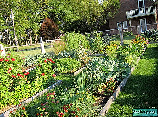 Thiết kế sân vườn: Kính vạn hoa về ý tưởng ngân sách