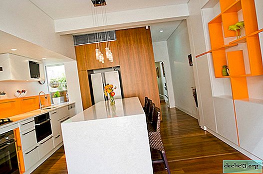 Oranžinė virtuvė: saulėta ir stilinga