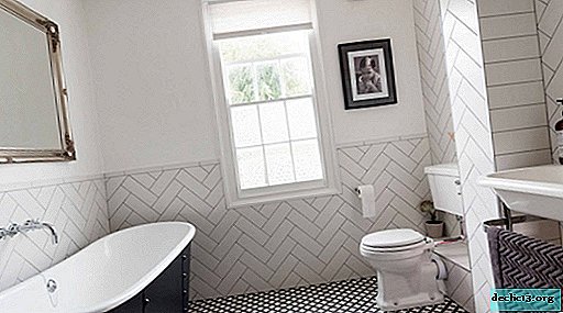 Tile for the toilet: options for a stylish design in the photo