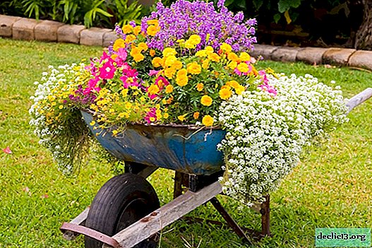 DIY crafts for the garden. The most interesting and unusual crafts for the garden: ideas and workshops
