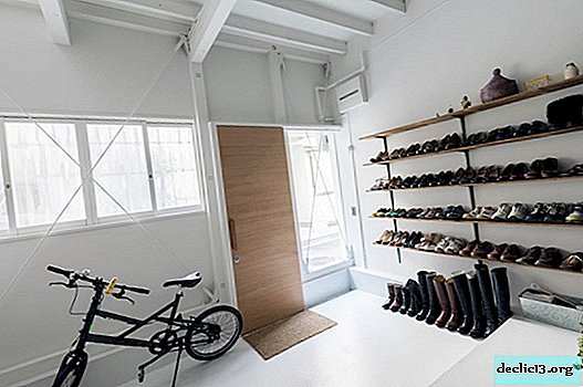 Shelves for shoes in a modern interior