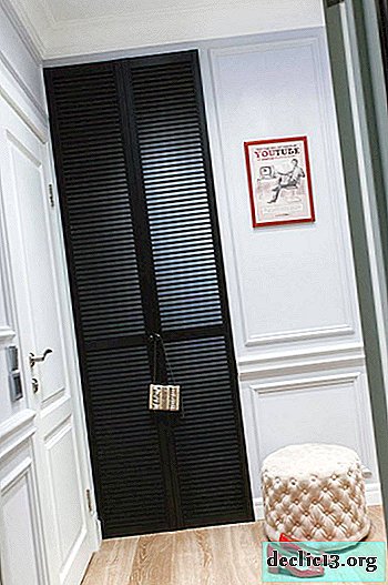 Couloir dans un style classique: design bien conçu avec des exemples sur la photo