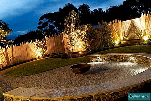 La iluminación del jardín como elemento del diseño del paisaje.