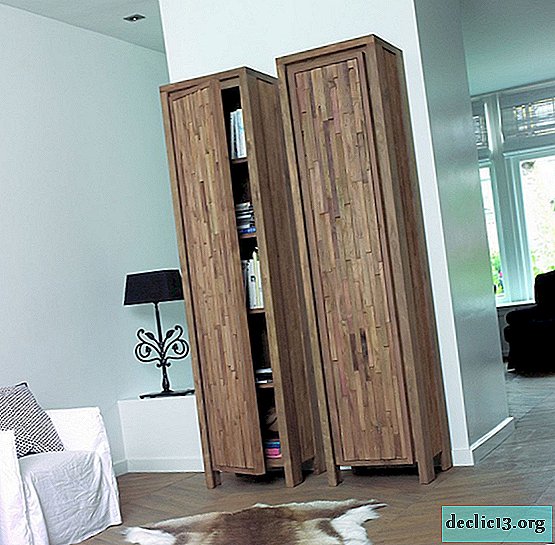 Case-cabinet - a functional piece of furniture for every interior