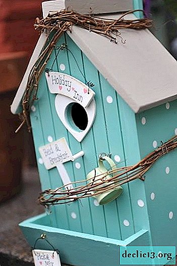 Birdhouse DIY: أفكار مثيرة للاهتمام وورش العمل