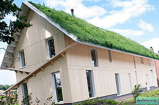 Um projeto arrojado de uma casa particular com um gramado no telhado