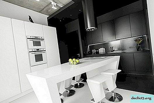Un atrevido diseño interior en blanco y negro con luces de neón.