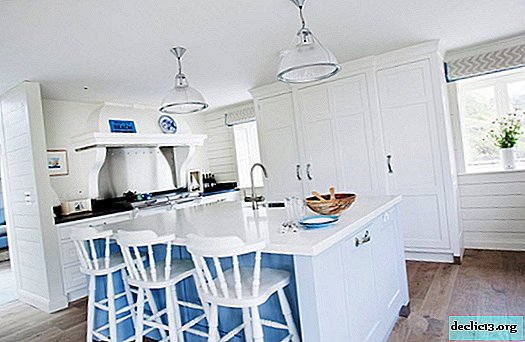 Die Farbkombination im Innenraum der Küche: Spektakuläre Designlösungen mit anschaulichen Beispielen auf dem Foto