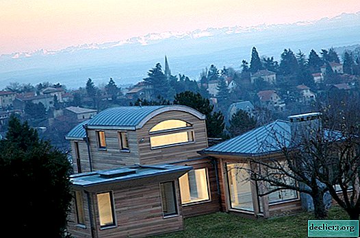 Design moderne d'une maison privée en bois