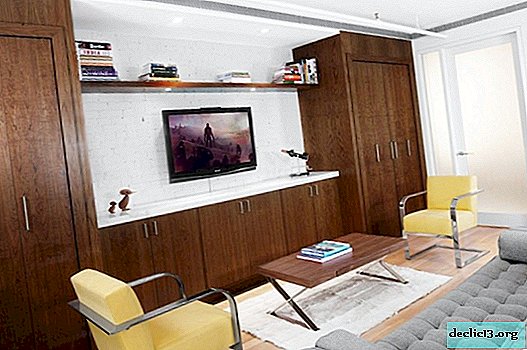 Modernus vieno kambario Chruščiovo dizainas