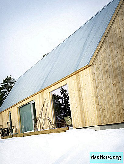 Casa de campo escandinava moderna