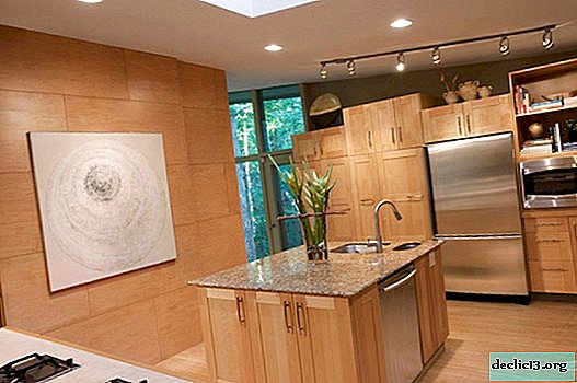 Tấm tường: thiết kế nổi bật và thỏa hiệp các giải pháp nhà bếp