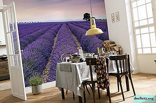 Stereoscopic wallpapers: super-realistic illusion of a three-dimensional image on the wall