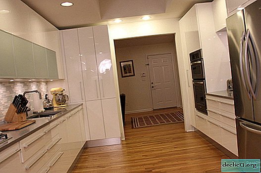 Intérieurs élégants d'une cuisine brillante - paillettes et glamour dans votre appartement