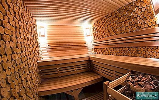 Lámparas para el baño: diferentes tipos de iluminación para la sauna