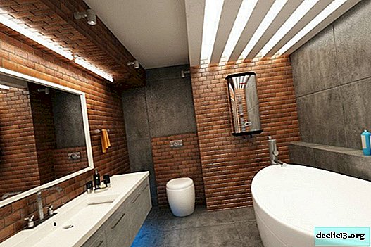 تجهيزات الحمام: أنواع مختلفة من الإضاءة للوظائف والجمالية