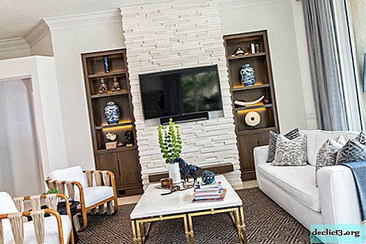 TV on the wall in the interior (accommodation options) - Ideas