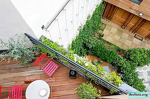 Terrace with plants - a corner of nature in a bustling metropolis