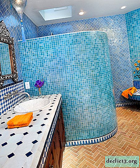 Salle de bain avec douche - un temple pour le corps et l'esprit