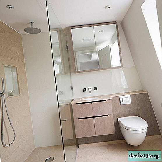 حمام مع مرحاض - ميزات التصميم