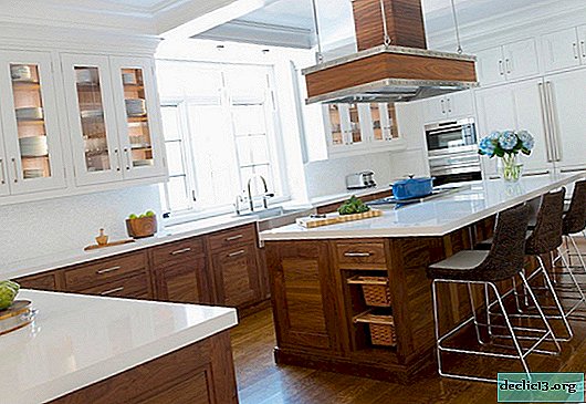 We choose practical and beautiful facades for kitchen cabinets