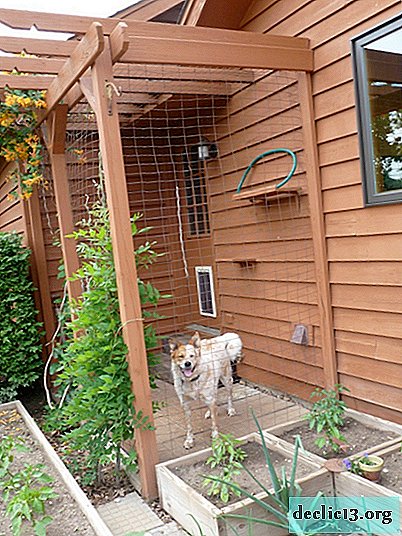 DIY enclosures for dogs. Aviary for a dog: features and nuances of manufacturing