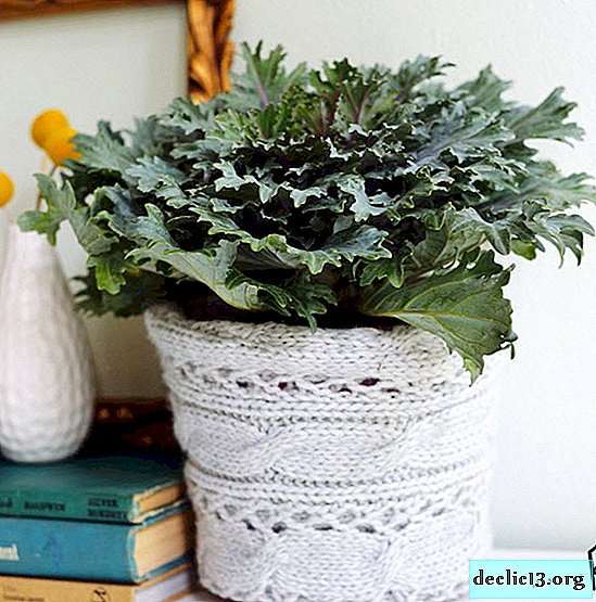 DIY knitted decor for flower pots - Ideas