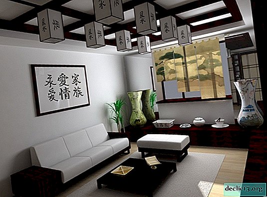 Japanse stijl in het interieur van het appartement
