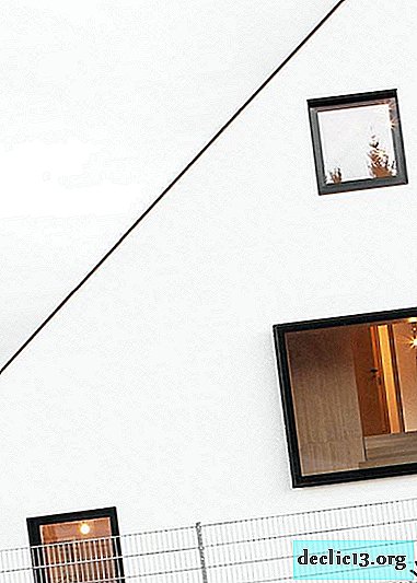 Almanya'da minimalist kır evi