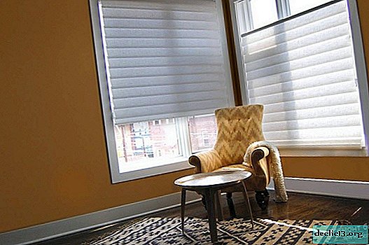 Blinds in the interior: photo and description